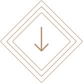 arrow-down-icon